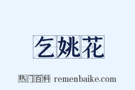 乞姚花是什么意思的图片